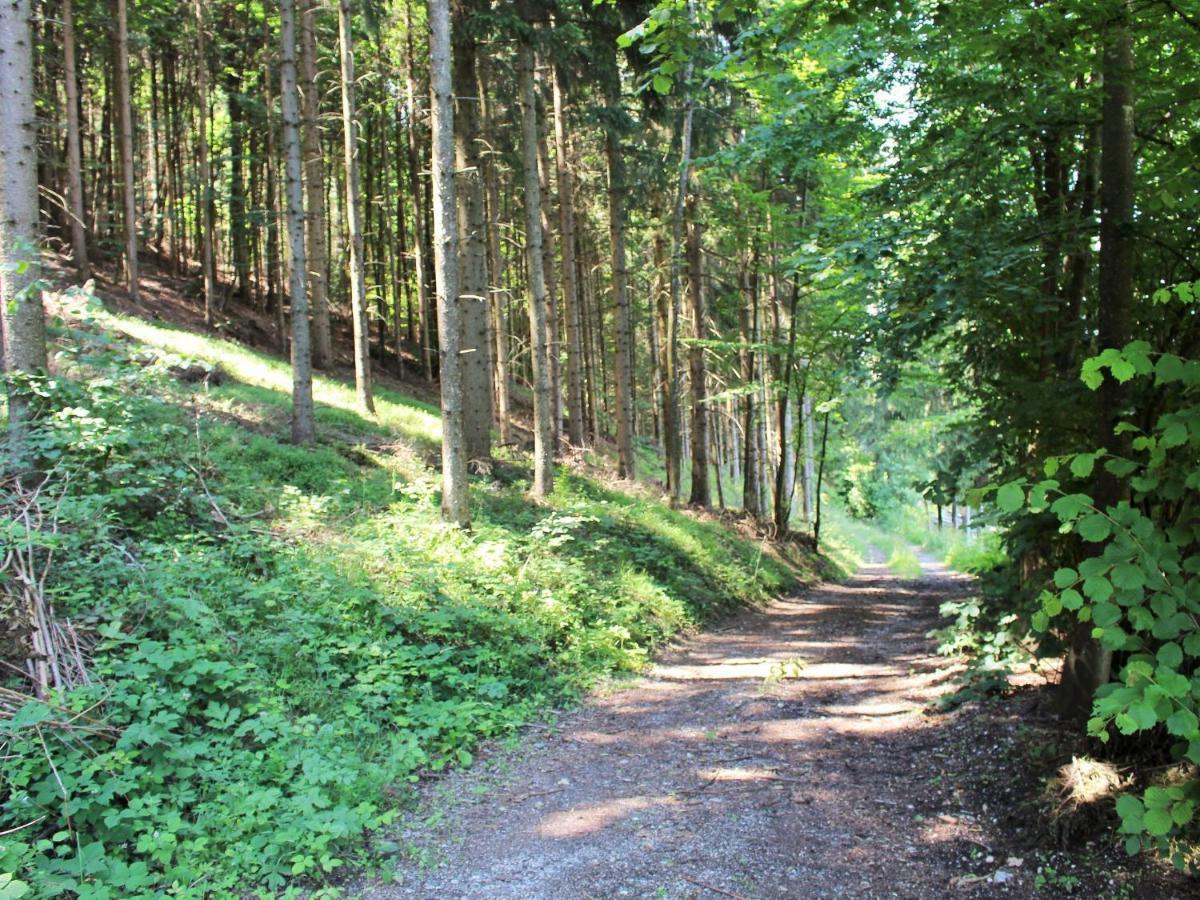 Apartment In Koettmannsdorf Near Bathing Lake Wurdach Buitenkant foto